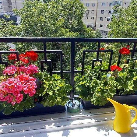 33 Coquette Apartment Baia Mare Buitenkant foto
