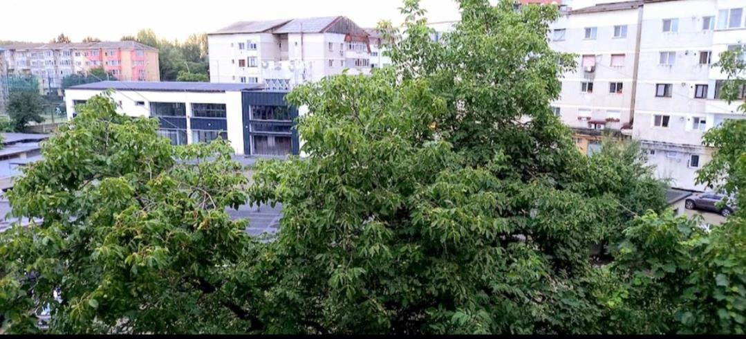 33 Coquette Apartment Baia Mare Buitenkant foto
