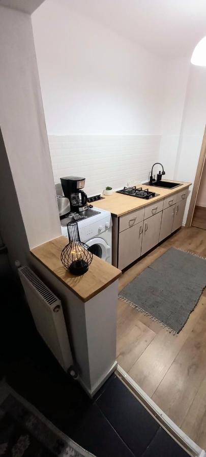 33 Coquette Apartment Baia Mare Buitenkant foto