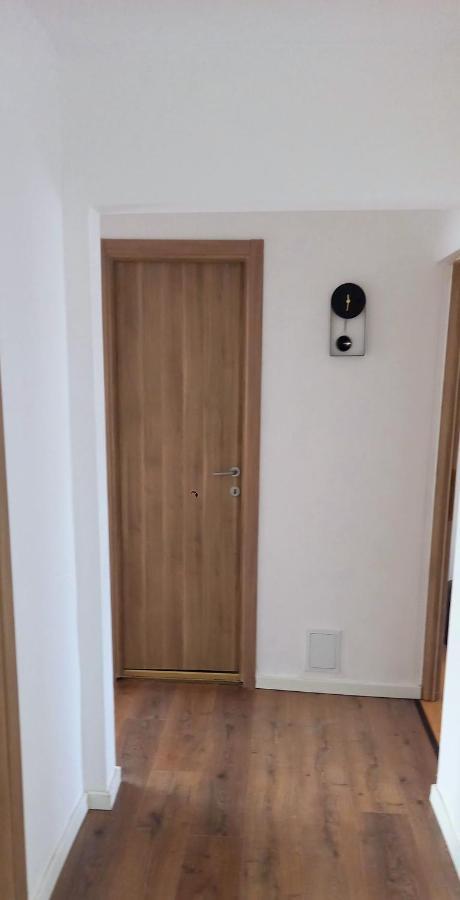 33 Coquette Apartment Baia Mare Buitenkant foto