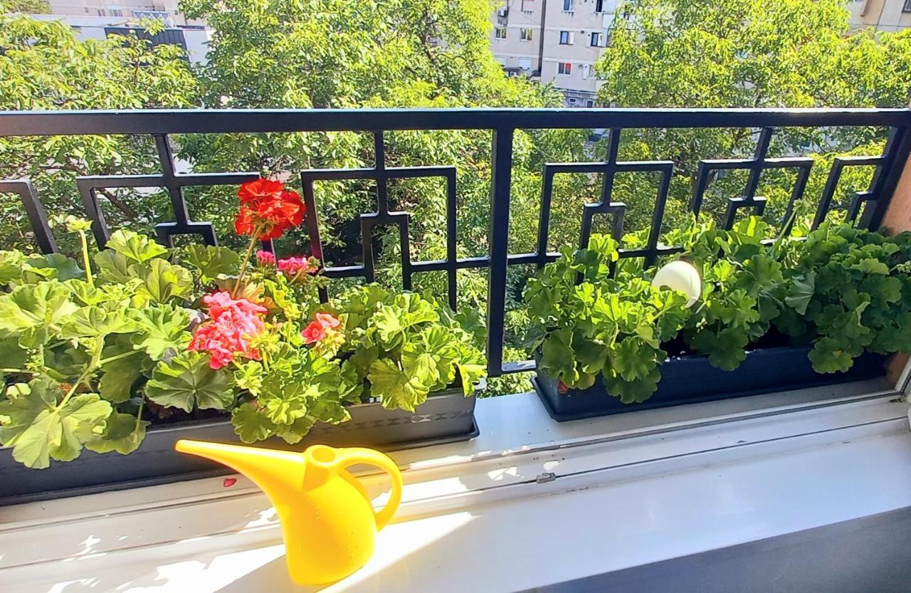 33 Coquette Apartment Baia Mare Buitenkant foto