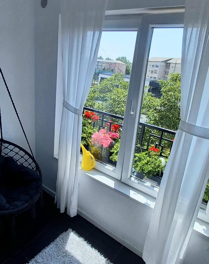 33 Coquette Apartment Baia Mare Buitenkant foto