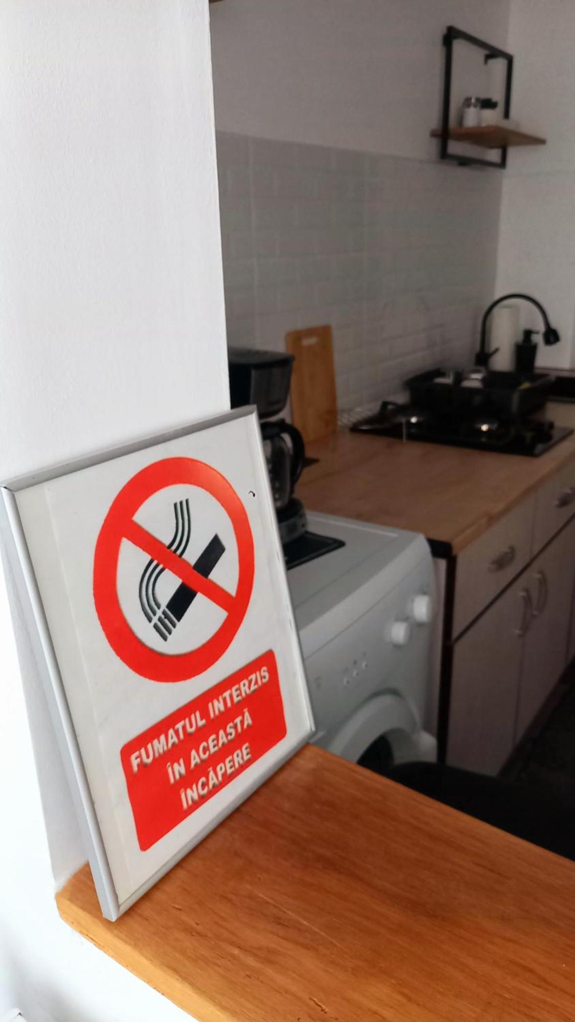 33 Coquette Apartment Baia Mare Buitenkant foto